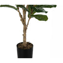  Monarch I 9541 Indoor Fiddle Tree IMAGE 4