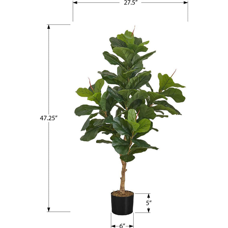  Monarch I 9541 Indoor Fiddle Tree IMAGE 6