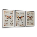  Signature Design by Ashley Jossletts A8000490 Wall Art Set IMAGE 1