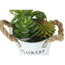  Monarch I 9361 2Pcs 7"H Succulent In 5" Metal Pot - Green/Brown/White IMAGE 6