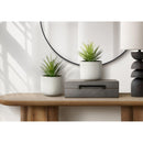  Monarch I 9362 2Pcs 9"H Succulent In 5" Cement Pot - Green/White IMAGE 3
