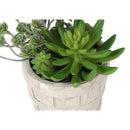 Monarch I 9365 2Pcs 9"H Succulent In 5" Cement Pot - Green/Beige IMAGE 6