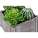  Monarch I 9370 2Pcs 8"H Succulent In 7"X 7" Wood Pot - Green/Brown/White IMAGE 2
