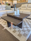 T304-12 ZENDEX 2pc Coffee & End Table Set